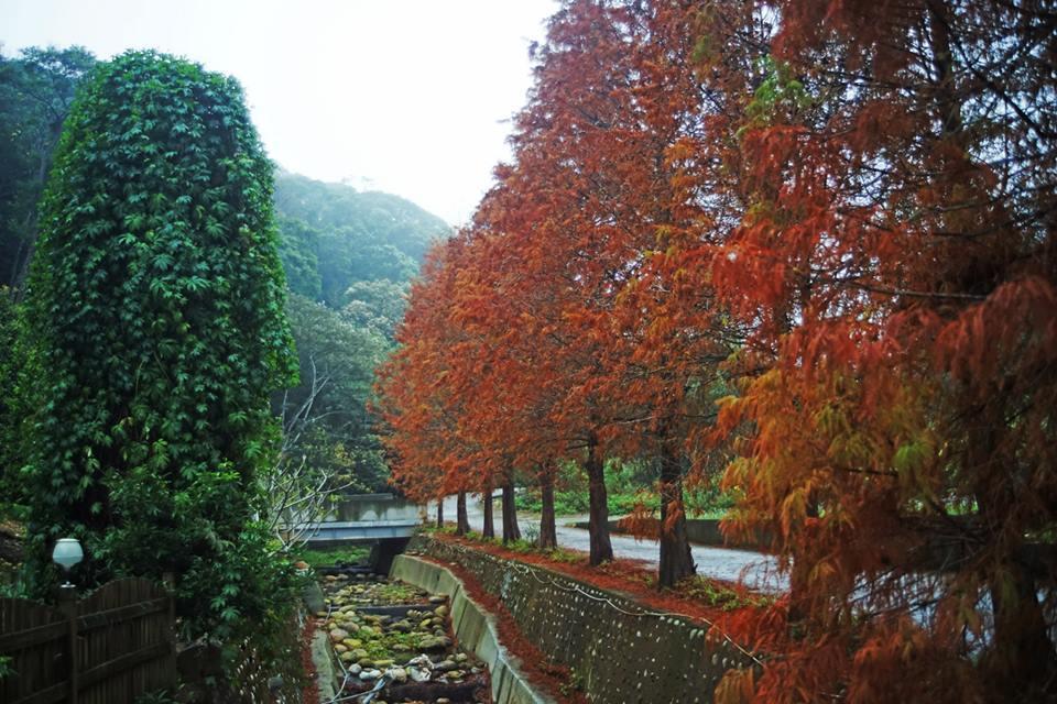 Maison-Philo Homestay B & B 산이 외부 사진
